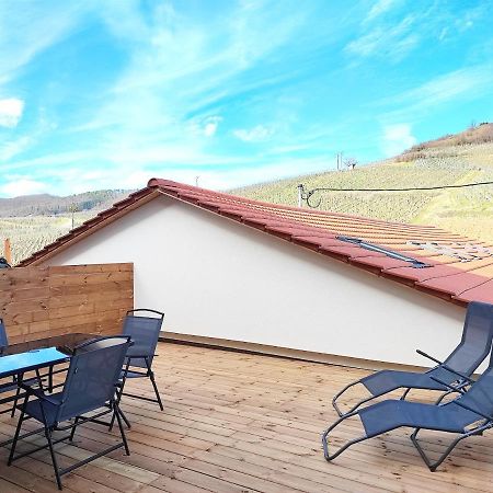 Vue Splendide Au Coeur Des Vignes Apartment Bergheim Ngoại thất bức ảnh