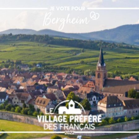 Vue Splendide Au Coeur Des Vignes Apartment Bergheim Ngoại thất bức ảnh