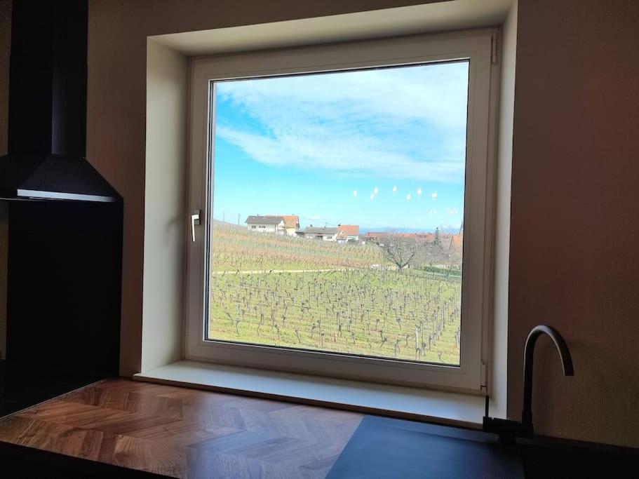 Vue Splendide Au Coeur Des Vignes Apartment Bergheim Ngoại thất bức ảnh