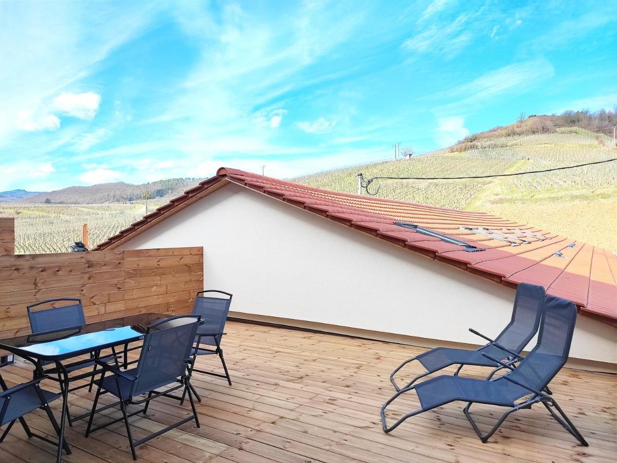 Vue Splendide Au Coeur Des Vignes Apartment Bergheim Ngoại thất bức ảnh