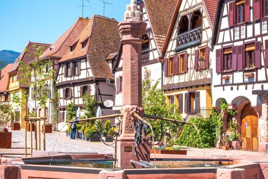 Vue Splendide Au Coeur Des Vignes Apartment Bergheim Ngoại thất bức ảnh