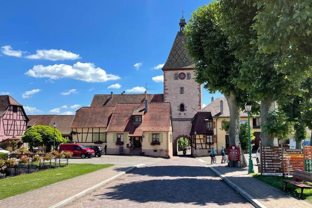 Vue Splendide Au Coeur Des Vignes Apartment Bergheim Ngoại thất bức ảnh